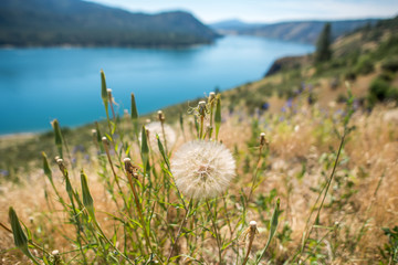 columbia river scenes on a beautiful sunny day