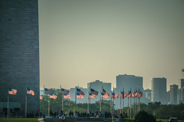washington monument in washington dc