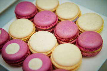 Pink and white macaroon 