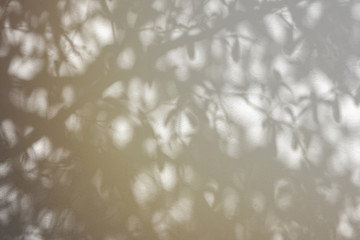 Abstract shadow background of natural leaves tree