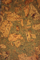 Naklejka premium Portuguese cork, The texture of the cork tree.