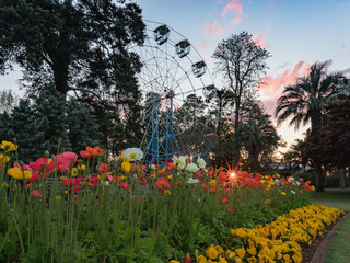Sunset in a Public park in Toowoomba