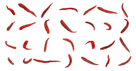 Dried chili on white background. With Clipping Path.