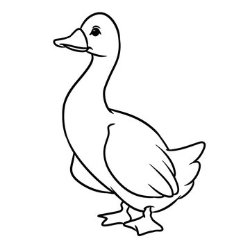 White goose bird cartoon illustration isolated image animal character coloring page