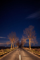 Starry sky with some clouds seen from the middle of the road surrounded by trees