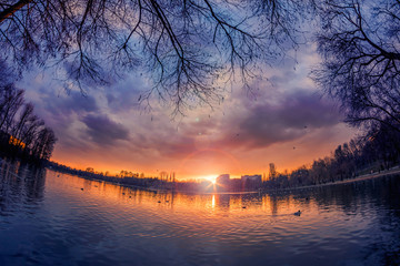 Sunset scene in a park in Bucharest shot with a fish eye lens with ducks swimming in the lake