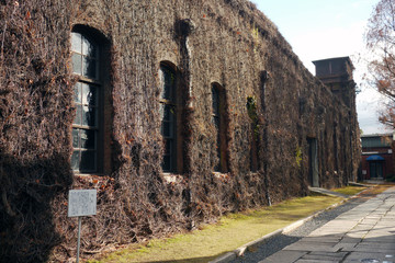 倉敷の工場跡　ツタに覆われた建物