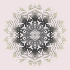 Modern Decorative Cicle Shapes. Floral Mandala. Vector Illustration. White grey color.