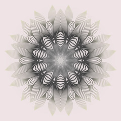 Modern Decorative Cicle Shapes. Floral Mandala. Vector Illustration. White grey color.