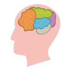 Head with brain symbol isolated