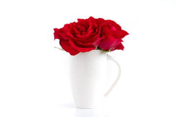 red roses in a white vase