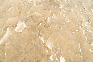 Close up rugged marble texture detailed of natural yellow rock sandstone background.