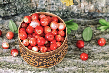 berries cranberries in a bowl close-up view from above. harvest of forest berries in the moss.