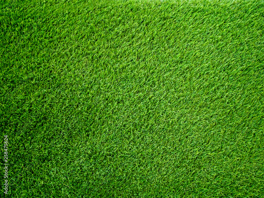 Poster artificial grass background