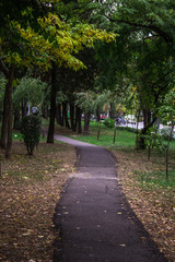 alley in the park