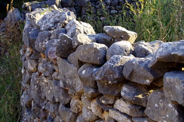 Felsenmauerin Griechenland