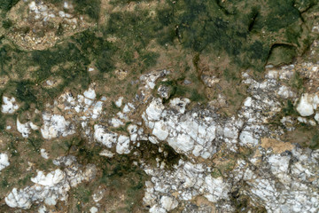 Obraz premium Close up dirty natural rock stone texture in multi color with green moss and little plant use for wallpaper, background or decoration printables.