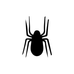 Spider insect icon. Tarantula animal sign
