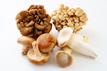 きのこ　しいたけ　ぶなしめじ　まいたけ　エリンギ 