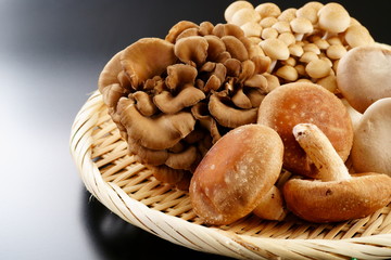 きのこ　しいたけ　ぶなしめじ　まいたけ　エリンギ