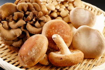 きのこ　しいたけ　ぶなしめじ　まいたけ　エリンギ