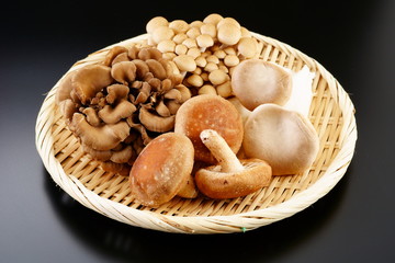 きのこ　しいたけ　ぶなしめじ　まいたけ　エリンギ
