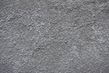 fragment of plastered wall