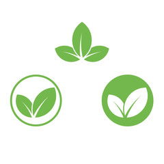 Vegan icon green leaf label template for vegan or vegetarian food package design. Isolated green leaf icon for vegetarian bio nutrition and healthy diet or vegan restaurant menu symbols set