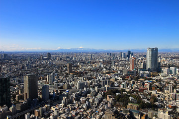 Fototapeta premium Townscape of Tokyo and Mt. Fuji