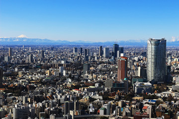 Townscape of Tokyo and Mt. Fuji