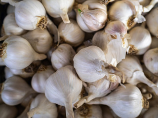 Garlic on a counter of grocery store. Useful product