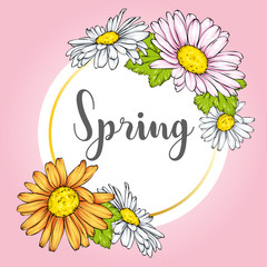 Spring Sale flyer background with beautiful flower. Vector illustration. Camomile.