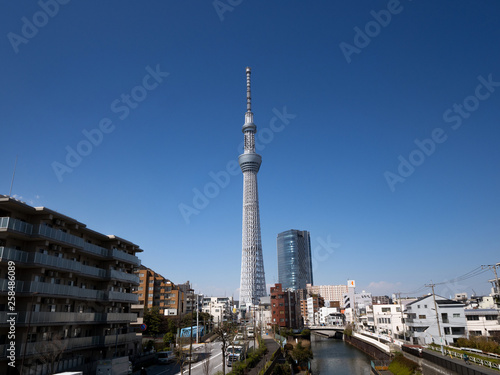 京スカイツリーと住宅街 Wall Mural Wallpaper Murals Moonrise