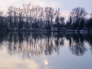 Baumreflektion im Fluss