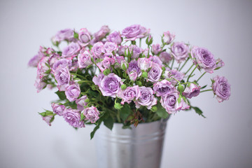 violet rose on a blurred background in an aluminum bucket
