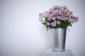 violet rose on a blurred background in an aluminum bucket