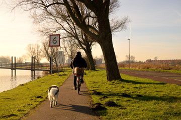cycling through the Dutch polder along the water with the dog. in the distance the city of Haarlem