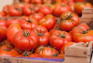 fresh tomatoes on branch in wicker baskets on counter