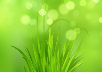 Fototapeta premium Frash Spring green grass background. Vector illustration