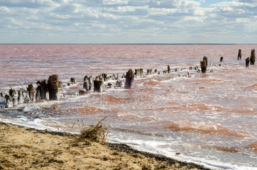 Fototapeta na wymiar Salt lake. Clouds on a background of red water