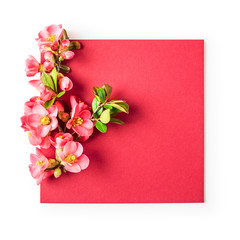 Greeting card with blossoming japanese quince
