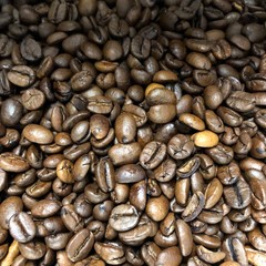 Coffee, nothing but coffee. Coffee beans