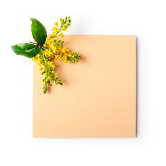 Greeting card with mahonia flowers