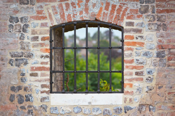 Iron barred window without glass on brick wall on old historical castle
