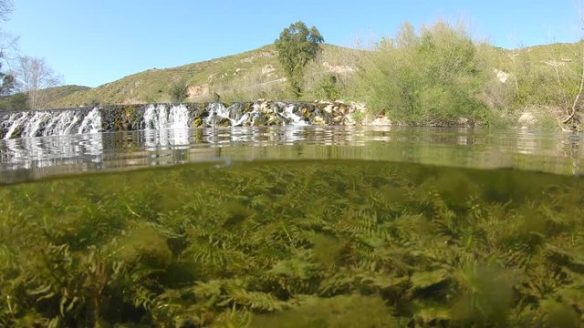 Small waterfall on a river with plants underwater, split view half over and under water, La Muga, Girona, Alt Emporda, Catalonia, Spain