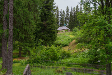 SOLOVKI, REPUBLIC OF KARELIA, RUSSIA - JUNE 27, 2018:  In the Botanical garden of the Solovetsky Islands. Solovki Islands, Arkhangelsk region, White Sea © Konstantin