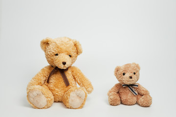 Teddy bear isolated on white background.