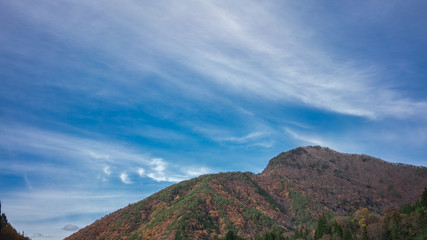 Forested hill with blue sky and stratus clouds