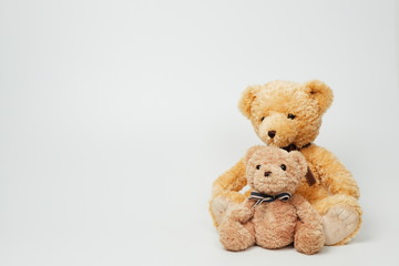 Teddy bear isolated on white background.