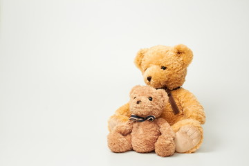 Teddy bear isolated on white background.